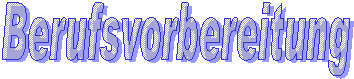 Berufsvorbereitung
